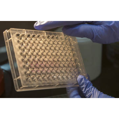 ELISA   ACY3 Antibody, FITC  