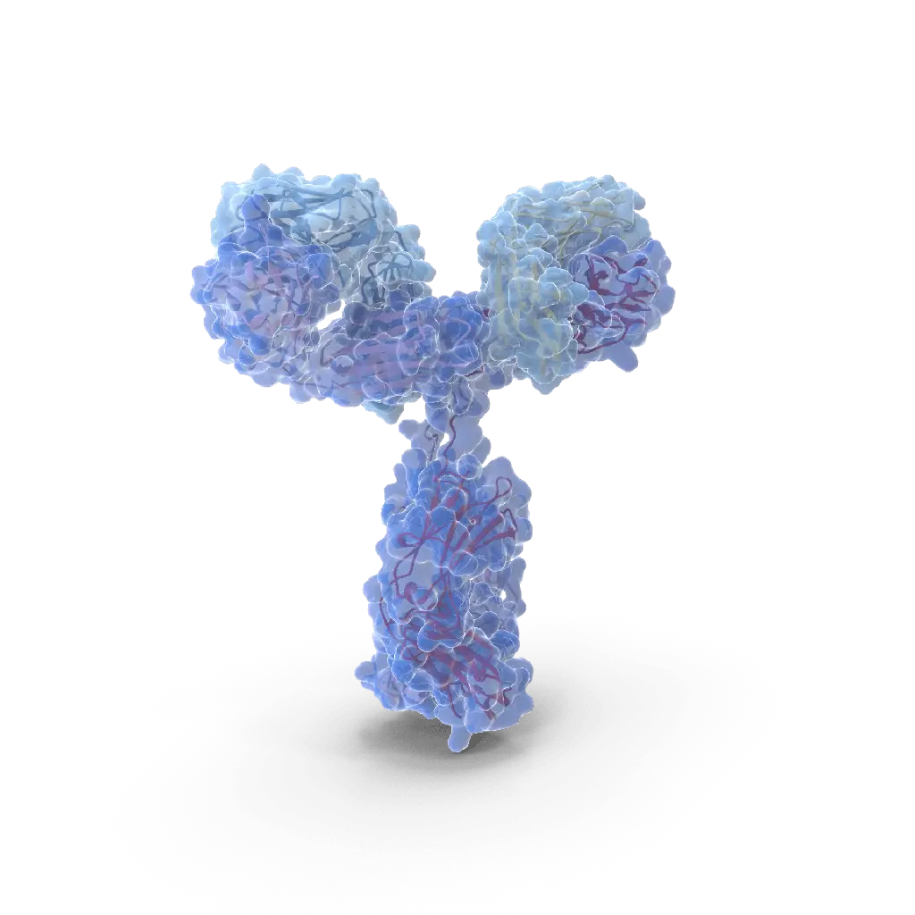 Anti-Malondialdehyde Mouse Monoclonal Antibody - 100 µg