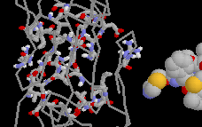 KXTbio